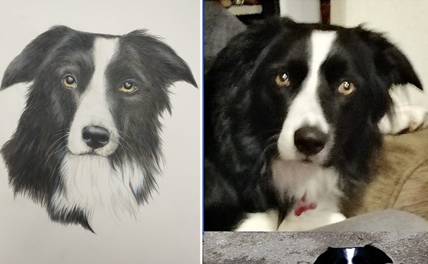 studio_1505's tweet photo. @TheoPaphitis Hi Theo, I am a pet portrait artist and have a passion for creating adorable drawings of my clients treasured pets, a beautiful keepsake for any occasion. I would like to be part of the #SBS network to expand my ideas further. https://t.co/bAqLmjv32l https://t.co/GCda52GuRw