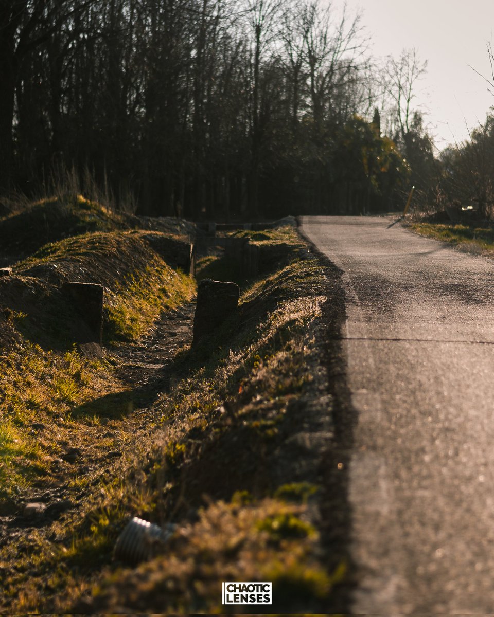 Sometimes the easy way is not necessary the right way..

#LifeisStrange
#ChaoticLenses #ChaoticBench #Nikon #NikonItalia 

instagram.com/p/CdlFCnMq0cY/…