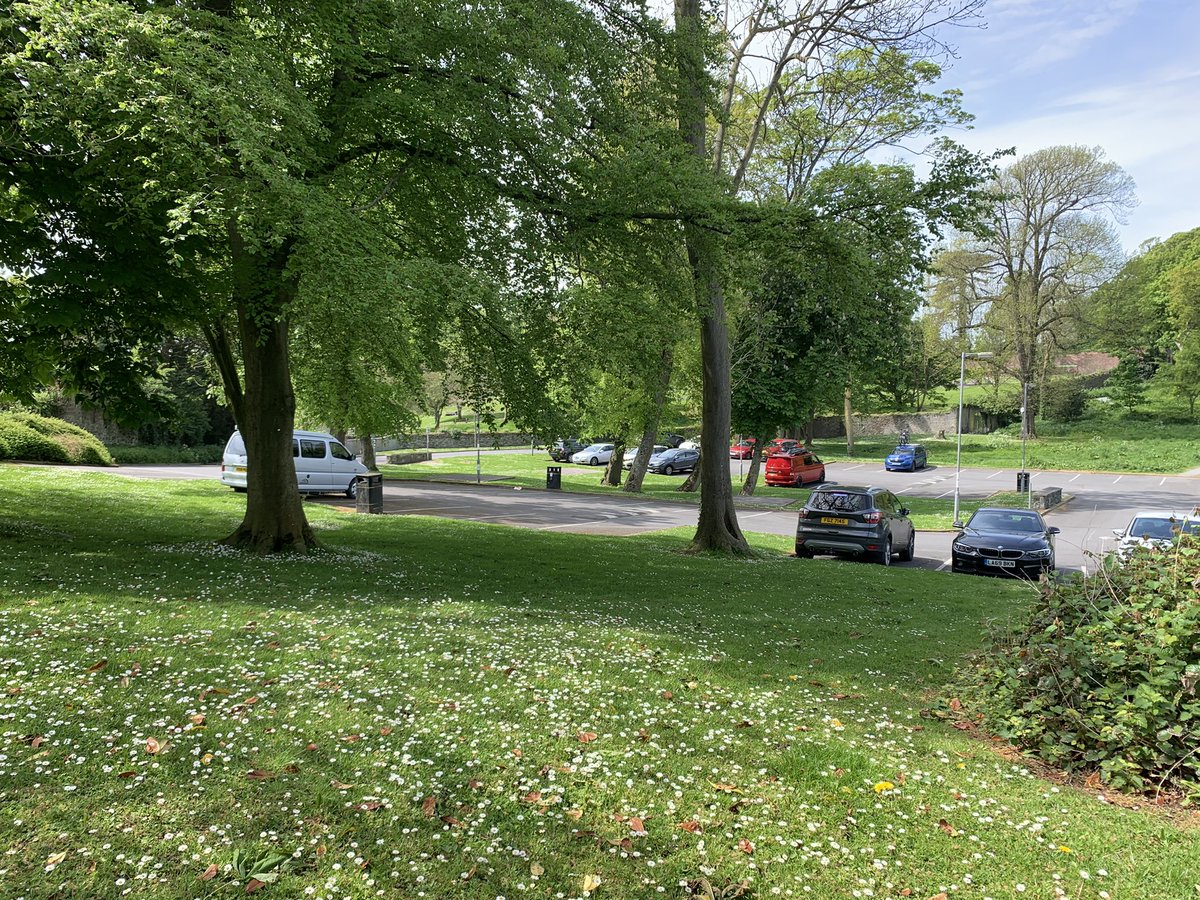 portaferrytrees's tweet photo. Weekend parking survey Ropewalk Car Park Portaferry: Saturday 14.5.22 at 12.24 - 14 cars. (37 free spaces) Sunday 15.5.22 at 12.43 2 cars. (49 free spaces). No justification for the destruction of mature trees &amp; habitat for more parking places in a beautiful conservation area. https://t.co/41bQbvSTY1