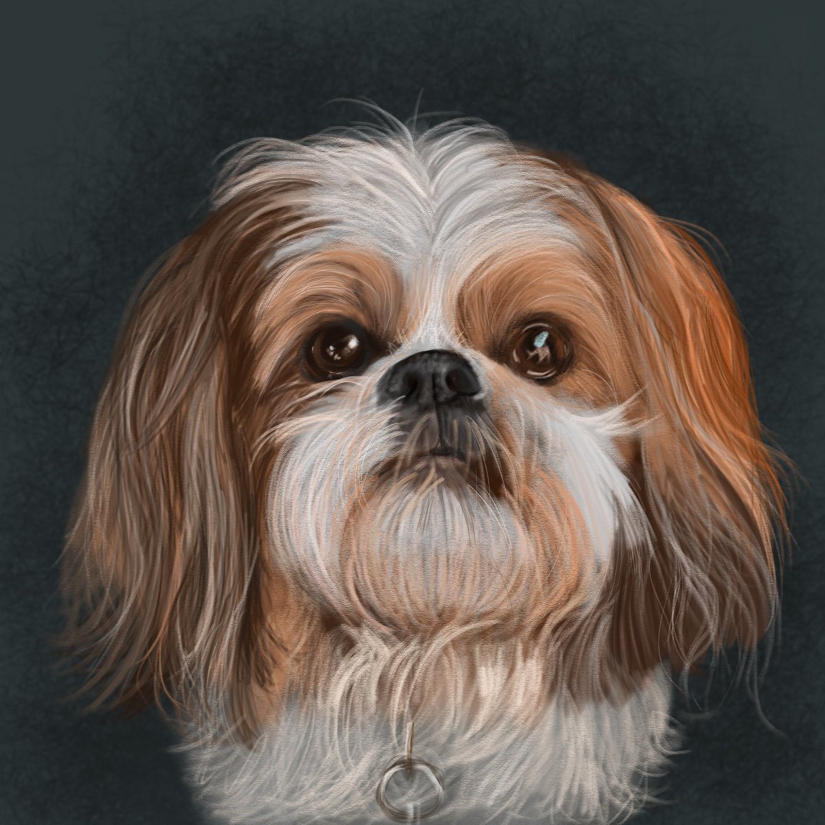 A commissioned portrait. #commissionsopen #commissionedart #commissionedportrait #portrait #art #animalart #dogart #doglove #doglover