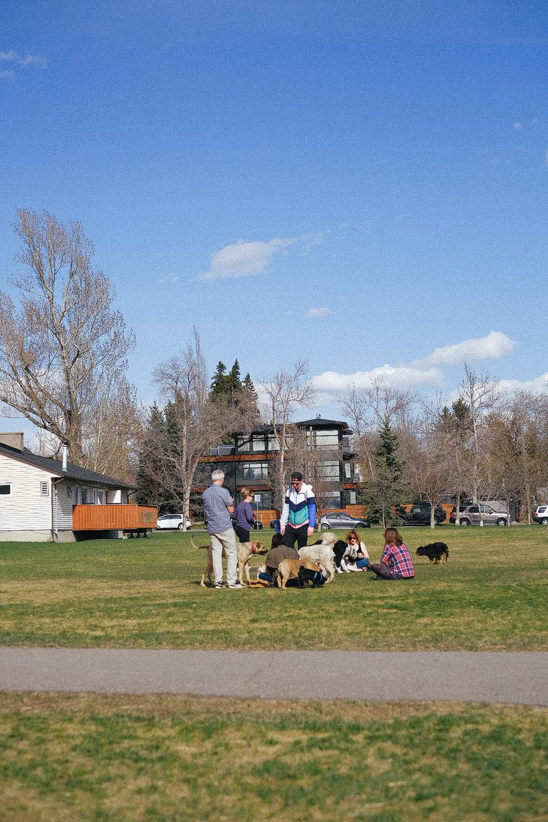 cupa_incalgary's tweet photo. วันก่อนเราไปเดินเล่นที่สวน Rotary Park มาจ้า
ที่ Calgary มีสวนเยอะมากๆ อันนี้จะเป็น dog's park อยู่ห่างจากดาวทาวน์แบบเดินได้อะ บยก.ชิวมาก สงบ คนพาหมาออกมาเล่น เดิน พักผ่อนกันเพียบเลย ♥️
#calgary #Canada #ทีมแคนาดา #โยกย้าย #ย้ายประเทศกันเถอะ #เรียนต่อแคนาดา #parksofcalgary https://t.co/GuTTBBhiE6