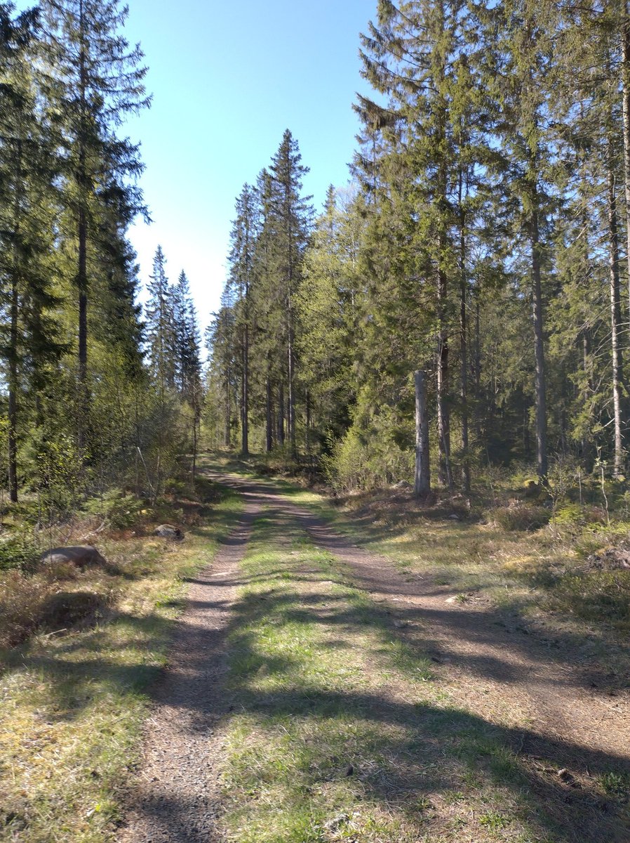 MattiasBrehag's tweet photo. Oslagbart på #billingen en dag som denna. #20k #stridsvärde https://t.co/ZXj6msmNVx