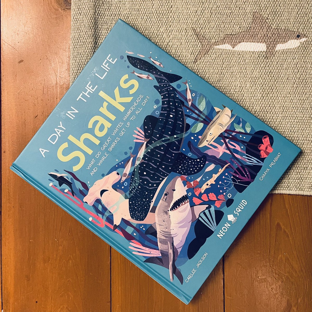 Rocket_Poppy's tweet photo. The wee one and I are so happy with our latest purchase, A Day in the Life Sharks, written by the incredibly knowledgeable marine biologist @CarleeMJ_
#aDayInTheLifeSharks #NeonSquid #ChildrensBooks #learningAboutSharks #bookAboutSharks
Image: a childrenβs book about sharks. https://t.co/4jwi1y6Jas