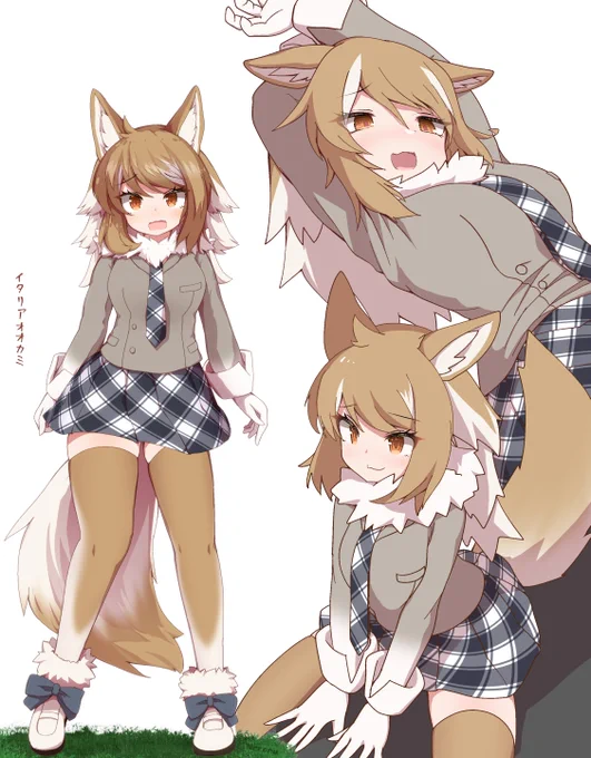 イタリアオオカミ 