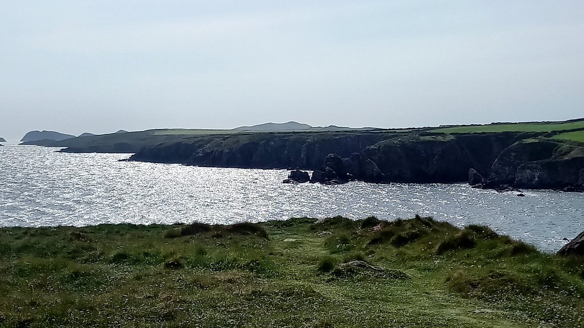 stdavidspembs's tweet image. #stdavids #pembrokeshire #walescoastpath