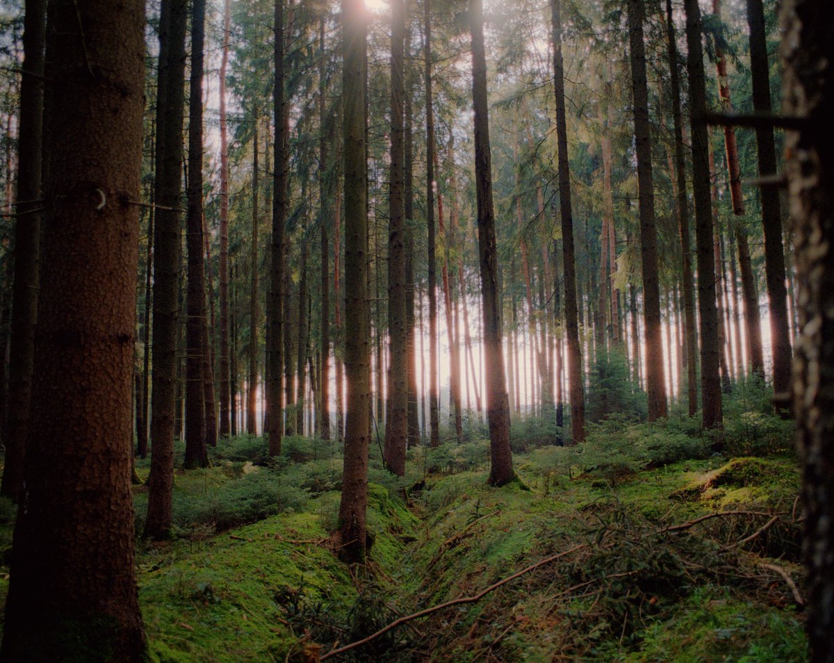 analoguevibez's tweet photo. oh i love film photography https://t.co/JMpnjb6o2Y