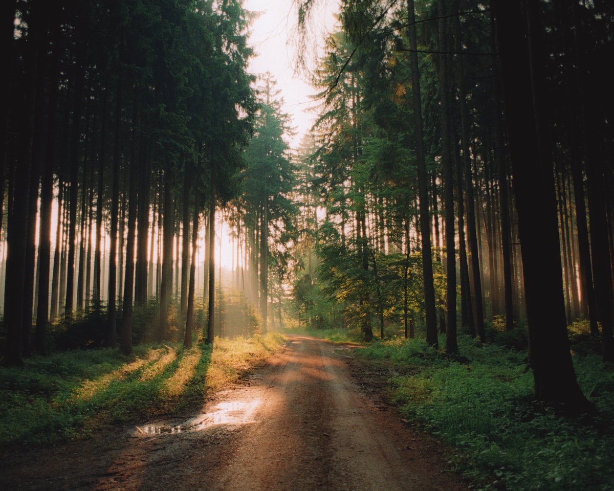 analoguevibez's tweet photo. oh i love film photography https://t.co/JMpnjb6o2Y