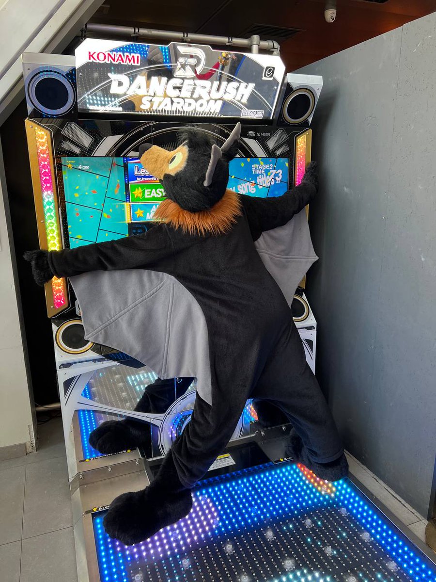 BaseballTheBat's tweet photo. Yay I got to try DanceRush at @NaVGMuseum ! https://t.co/JlcmGoxc2E