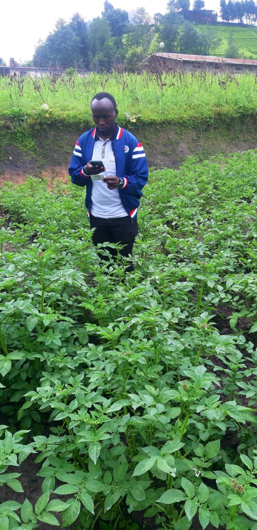 Gishwati Modern Agriculture &Environmental Mgt Ltd tweet media