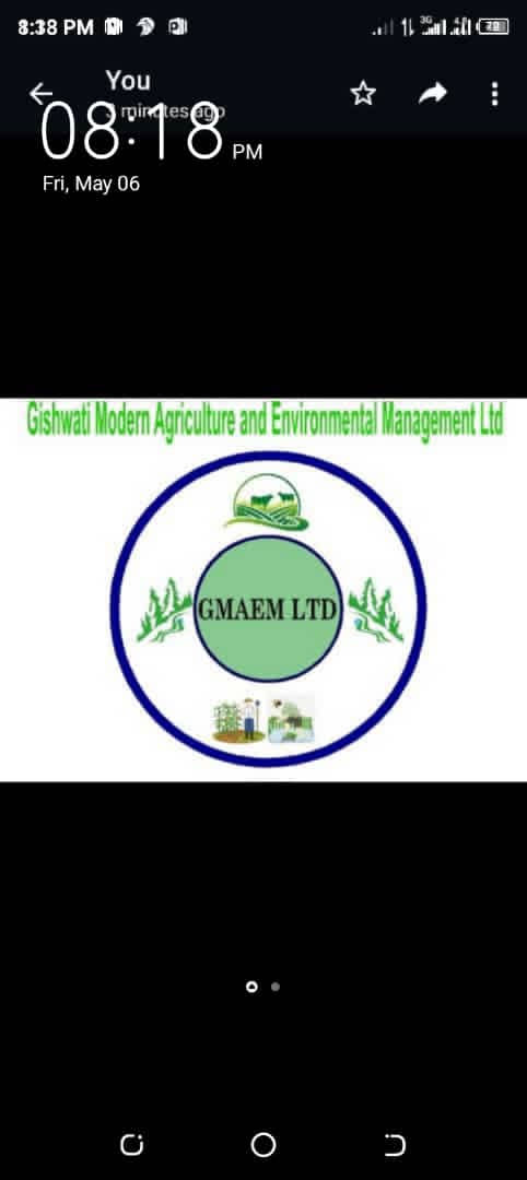 Gishwati Modern Agriculture &Environmental Mgt Ltd tweet media