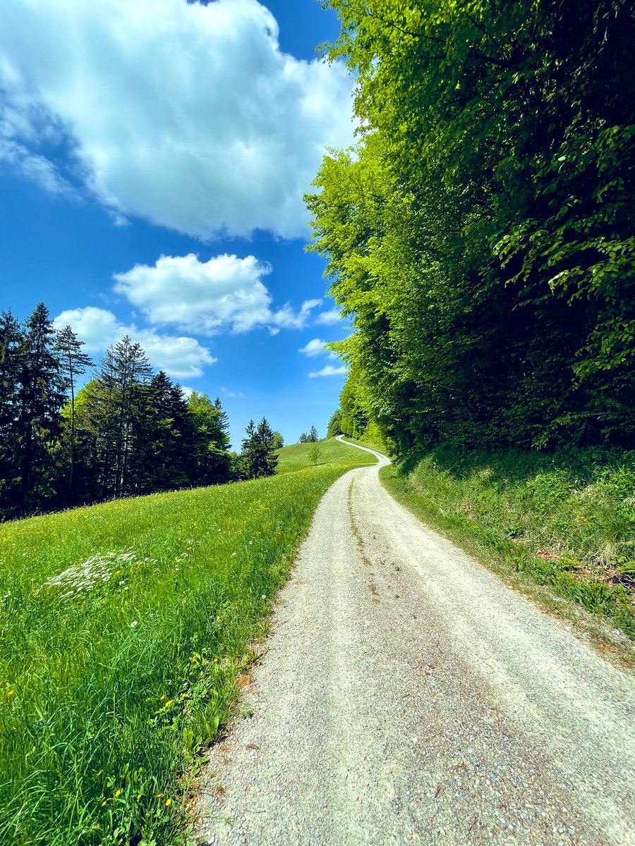 Zu Hause ist es am Schönsten.