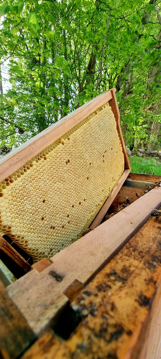 Darek (@arek52977565) on Twitter photo 