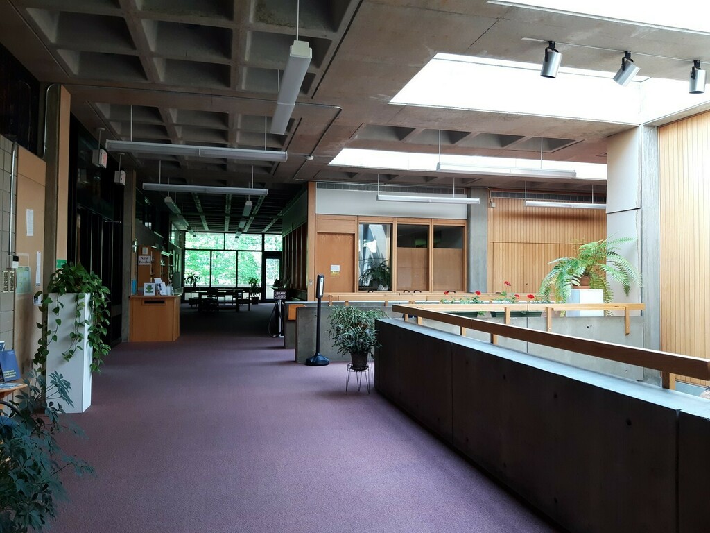 goddardcollege's tweet photo. Students who live nearby our Vermont campus can study among plants and sunshine in the library! 🌞
#goddardcollege #creativeeducation #progressiveschool #smallschoolbigimpact #individualizededucation #educationforthefuture https://t.co/Y7OnesFloa
