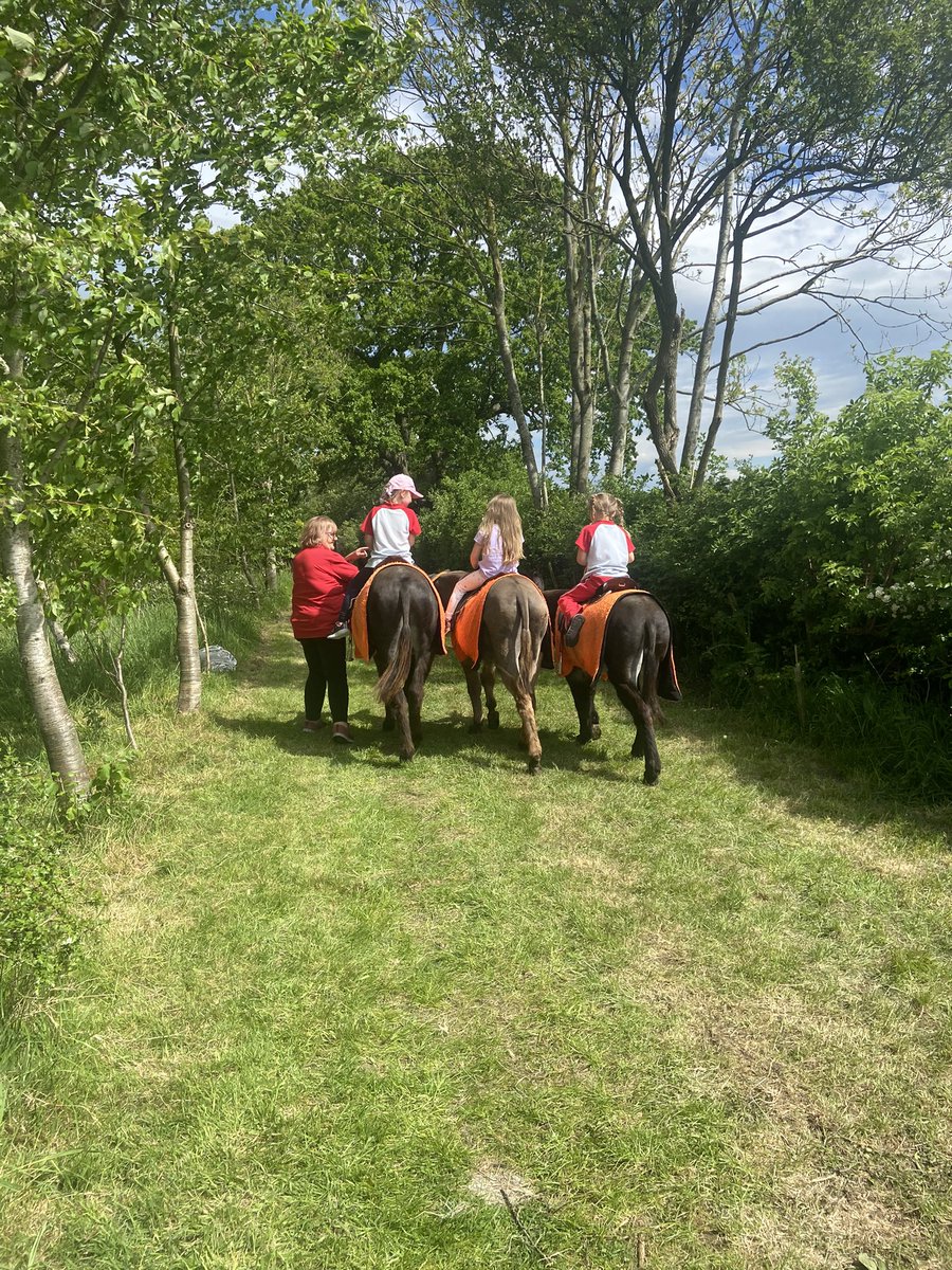 Garstang1st's tweet photo. Wow!!! What a day 🎡🎪🏖 we’ve been at the ‘Beside the Seaside’ activity day, donkeys, rides, crafts, sand and lots and lots of fun 🤩 @garstanguiding @GG_LancGarstDiv @LancsNW @Girlguiding_NWE https://t.co/Zn6R9FX01Y
