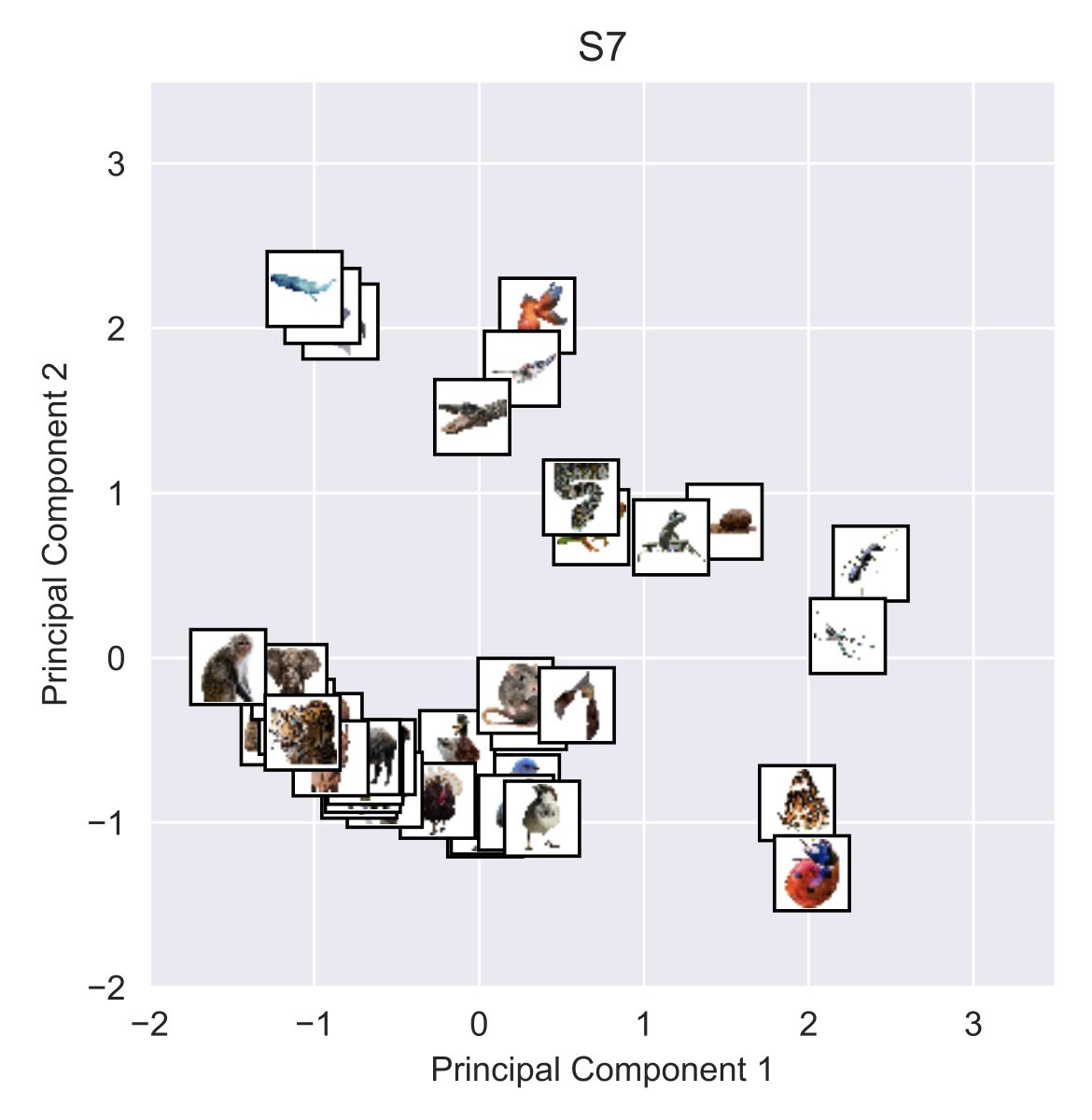 mienbaoo's tweet photo. Come visit our poster (36.340) this afternoon at #VSS2022
@SuniyyaW will talk about how she quantifies low level features and objects similarities in the perceptual space! #VictorLab https://t.co/zdz86Tnyo3