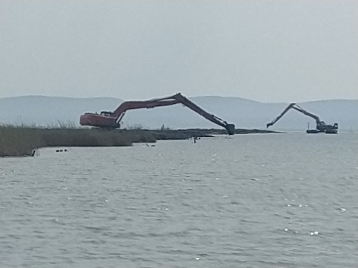 Temiz Gediz Temiz Deniz kapsamında Kör Gediz temizleniyor. Balıklar, kuşlar ve balıkçılar adına emeği geçenlere minnetle. <a href="/izmirbbeltr/">İzmir Büyükşehir Bel</a> <a href="/tuncsoyer/">Tunç Soyer</a> <a href="/izsugm/">İZSU Genel Müdürlüğü</a> <a href="/ayselozkan35/">Aysel Özkan</a> <a href="/OnurEmrahYILDIZ/">Onur Emrah YILDIZ</a> <a href="/hakanbarc/">hakan barçın</a>