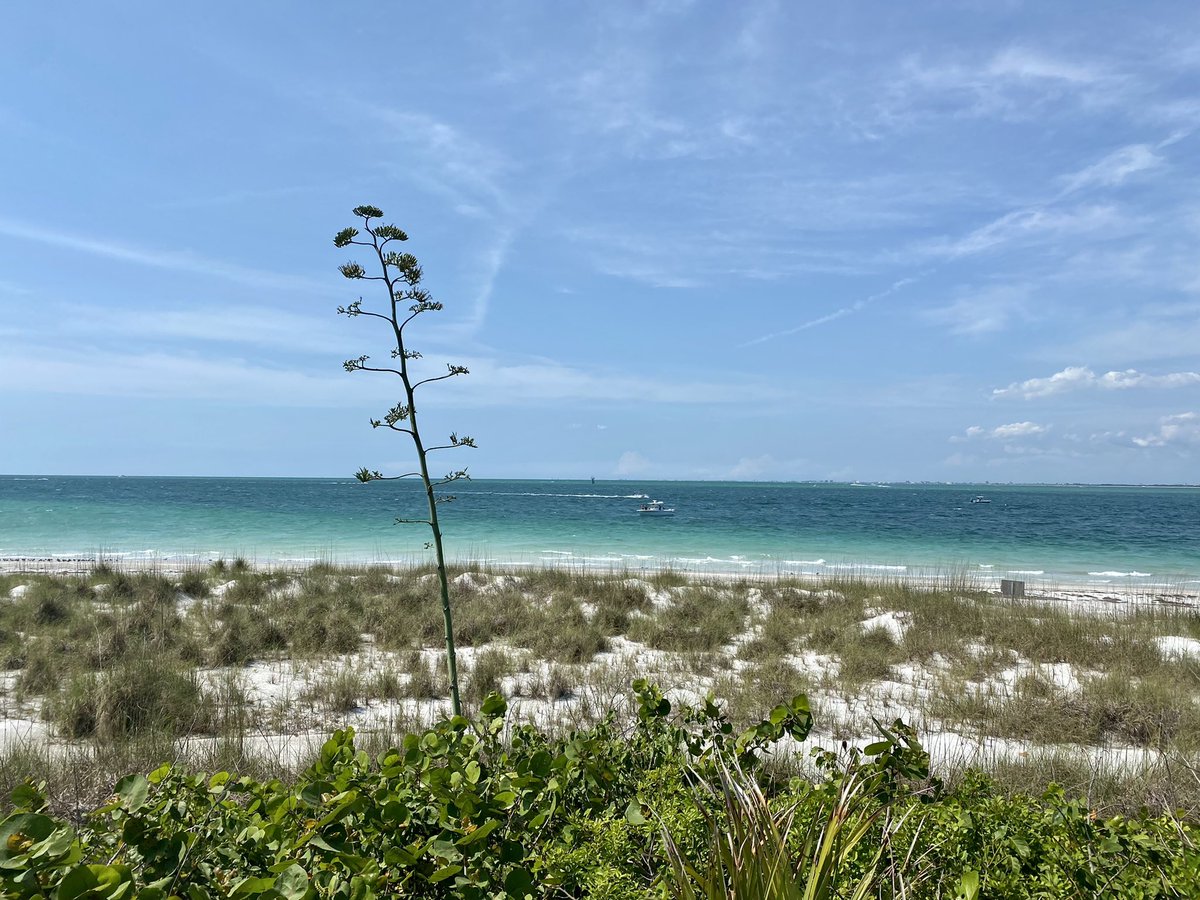 bouchard_adam's tweet photo. Some beach, somewhere! #TampaBay #Florida https://t.co/8AhlKfD1wb
