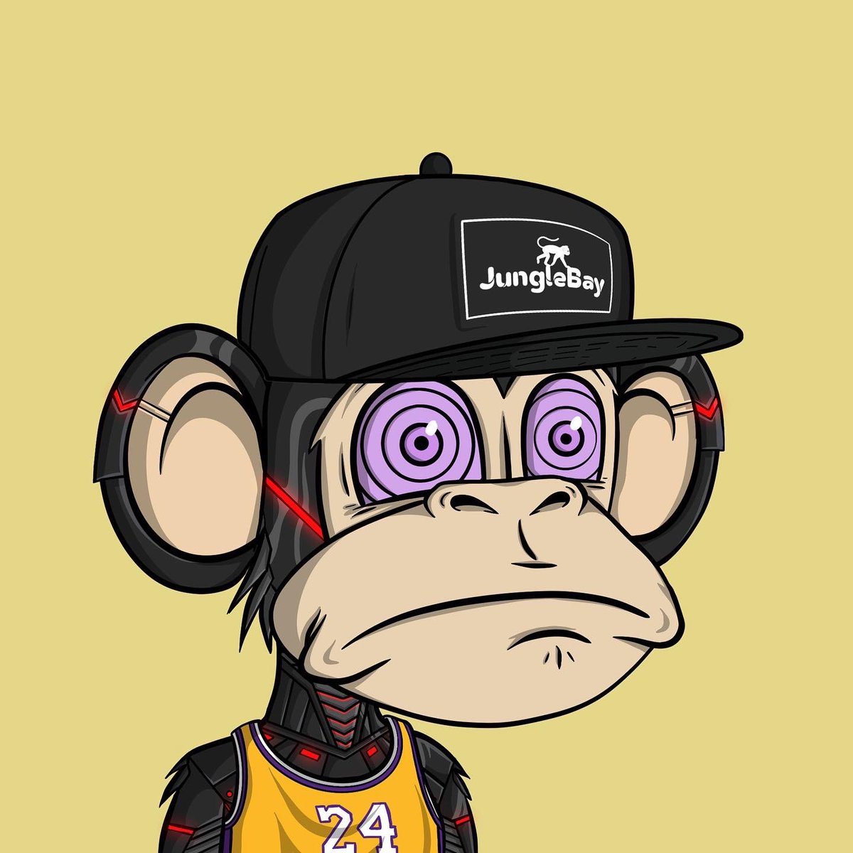 theroyalninja's tweet photo. WEB 2 me vs WEB 3 me . @JungleBayAC #jbac  #web3 #mtvrs https://t.co/rYWYq4uHgI