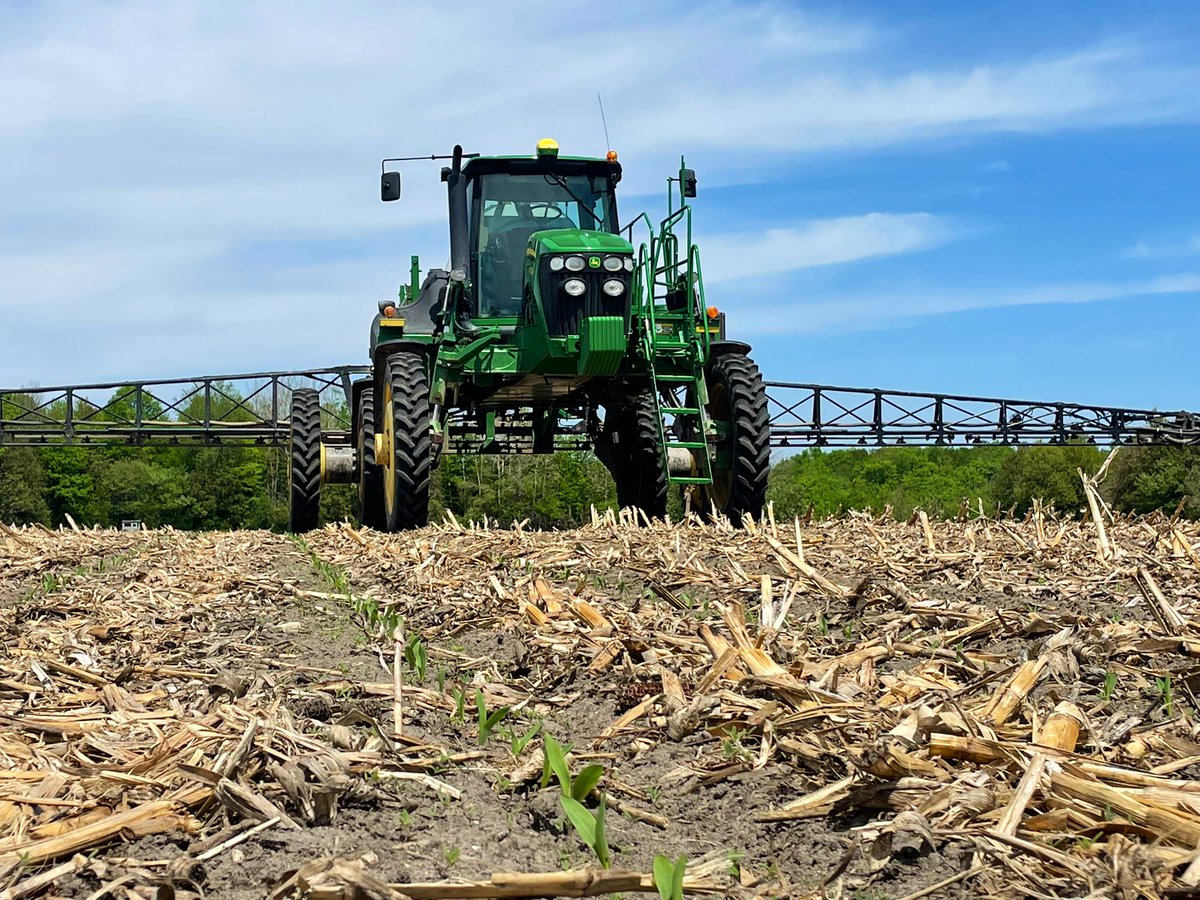Dungannon_Dan's tweet photo. 🌽 Corns up! And so are some weeds! 
#spray22 #ashfield #teamduals https://t.co/fdIYBxqMjk