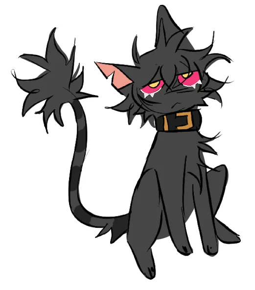 a guy 