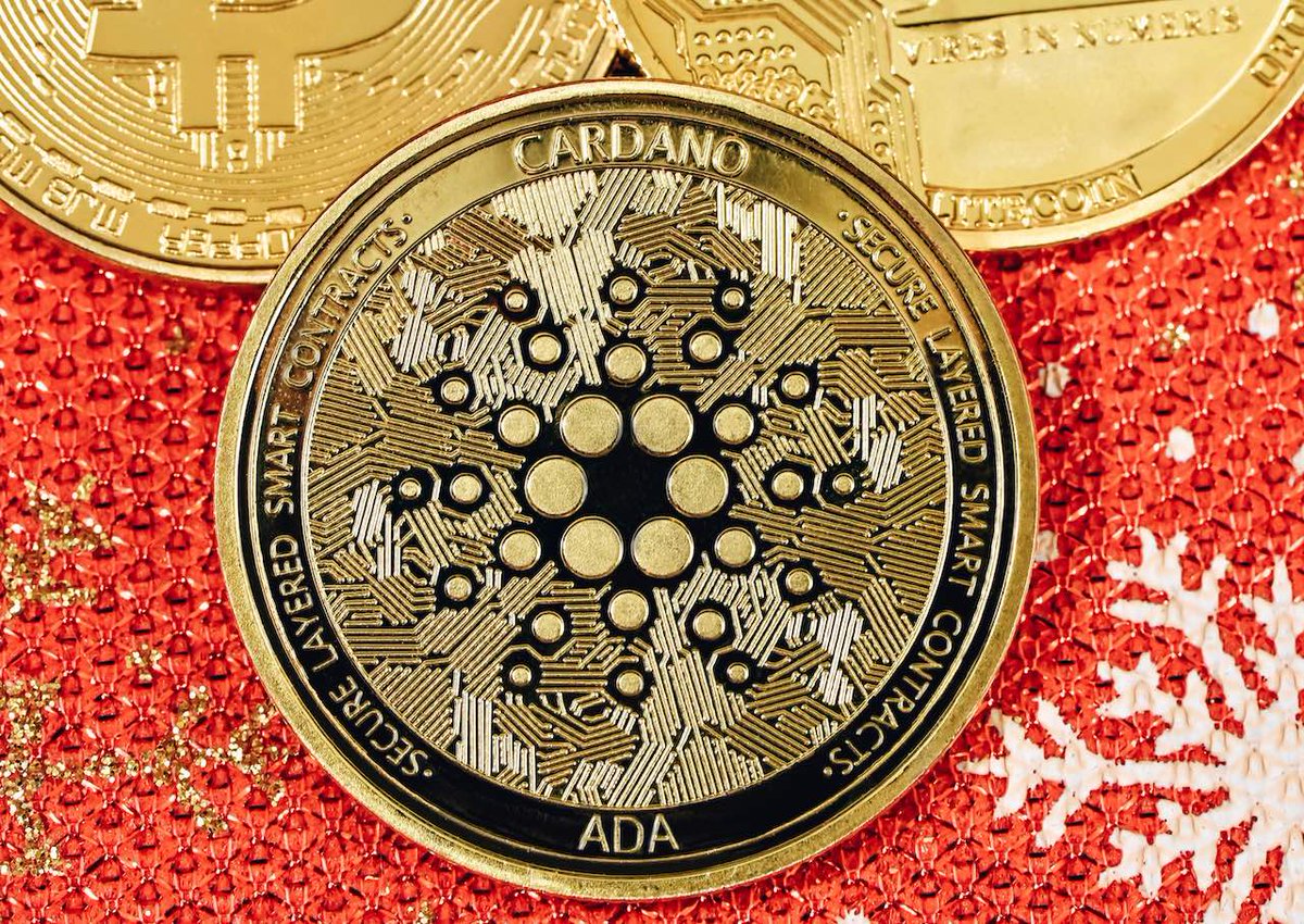 Criptospacegm's tweet photo. Dan Gambardello , fundador de Crypto Capital Venture , dijo que Cardano se está "posicionando silenciosamente como la cadena de bloques más sólida, segura y escalable". https://t.co/L7dqD9PNTJ
