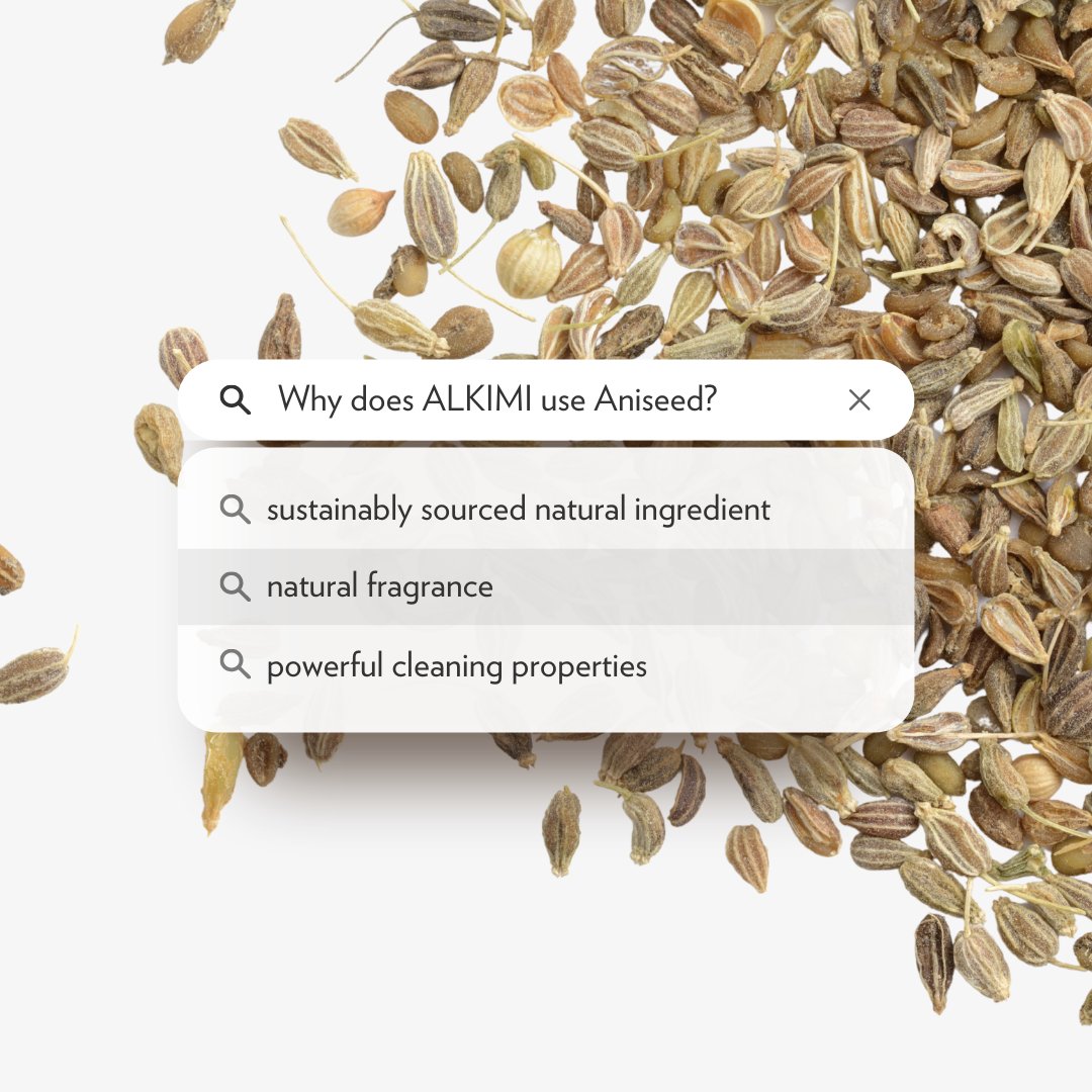 Alkimi_uk's tweet photo. Aniseed can be found in ALKIMI Glass/Window Cleaner. Shop online from Amazon or Ocado. 

#NaturalClean #Nature #EcoCleaning #EcoCleaner #Sustainable #NaturallyPowerful #CleanHome #Hinching #QueenOfClean #HinchHaul https://t.co/flCYjhUOFG