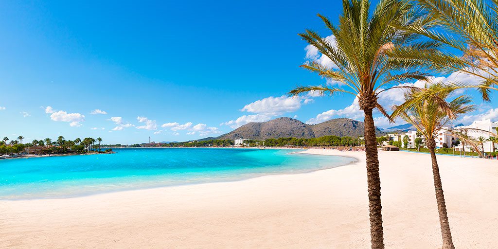 #Alcudia-bugten overrasker alle, der besøger øen #Mallorca. 🏖 Udover sine paradisiske strande gemmer den på et fantastiske steder som #LaAlbufera. Et ornitologisk paradis. 🐦

👉 https://t.co/BLMZQdYGZi

#TeMerecesEspaña #VisitSpain #SpainCoast @TurismeBalears https://t.co/cJOEw8eRl5