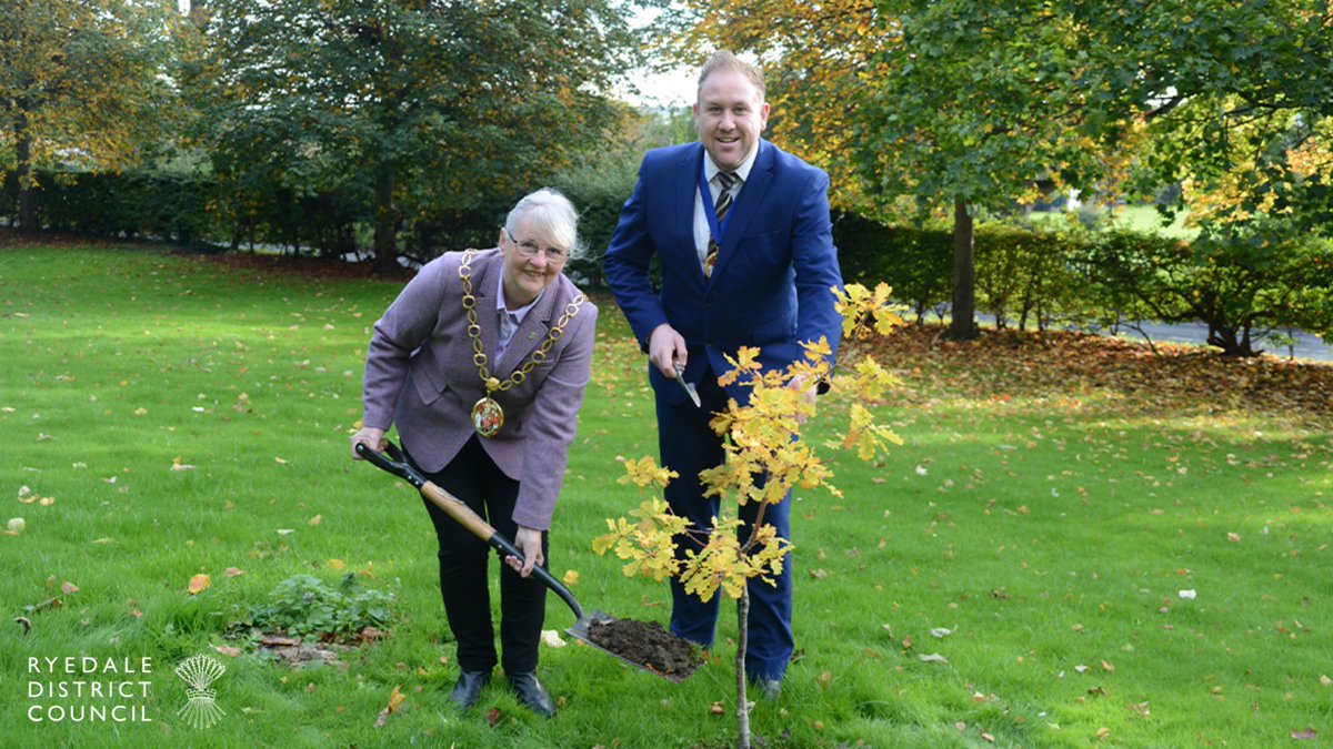RyedaleDC's tweet photo. The countdown is on to celebrate the Queen's Platinum Jubilee bank holiday weekend. A tree has been planted at Ryedale House by the Chair and Vice-Chair of Ryedale District Council, Cllr Janet Frank and Cllr Nathan Garbutt-Moore. https://t.co/yZ5eJPECIV https://t.co/kTQ1NkqJwr