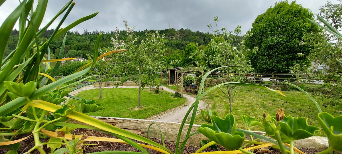 MissOutdoorEd's tweet photo. Community Garden. 🥕🍅🍠🍆🫑🥒🥔 https://t.co/zbKMwE5EVh