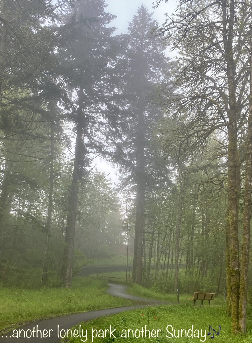 DowningHodl's tweet photo. Doobie Brothers reference to a park behind #BonnySlope elementary #CedarMill #Portland @WashCoScanner https://t.co/Bi5kS7OemG