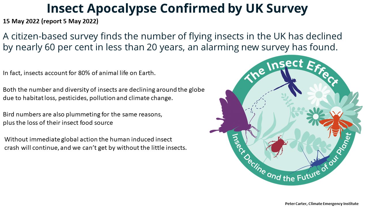 Peter D Carter on Twitter: 