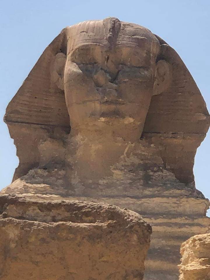 Elsannour's tweet image. Sleeping &amp;amp; indifference is the best thing, exactly like sphinx! 😅🤣

#sphinx
#ابو_الهول