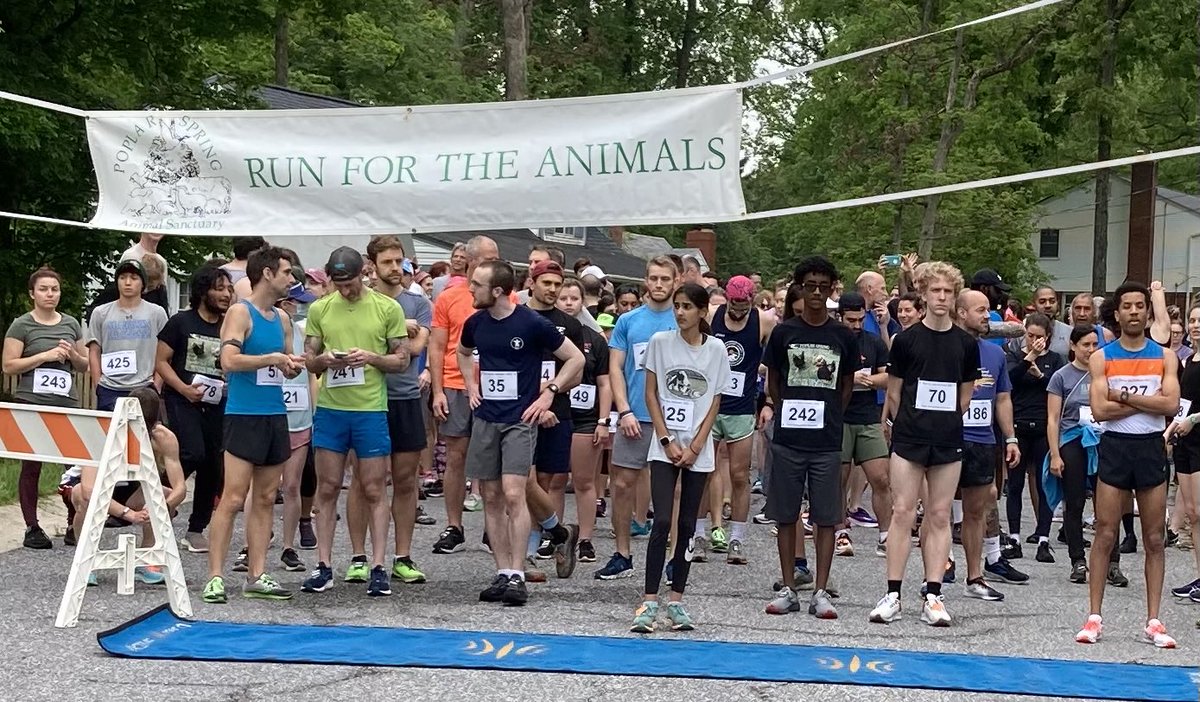 lisaontheradio's tweet photo. Thank you to everyone who came out today for the #RunForTheAnimals to benefit @poplarspring Animal Sanctuary. Even though the in-person race is over, you can still participate in the virtual race anytime this week and support the sanctuary. https://t.co/IDj8Q3QINw #5k https://t.co/7ZGtnrTYFn