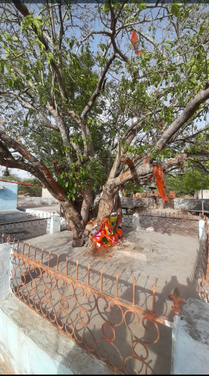 Yesterday's visited in rural areas for cultural survey in Morena district of Madhya Pradesh.

<a href="/kamleshbanjaria/">Kamlesh Banjaria</a> 
<a href="/navinpatwardhan/">NAVIN PATWARDHAN</a>
<a href="/CSCMadhyPradesh/">Money Makes Money Investment & Securities</a>