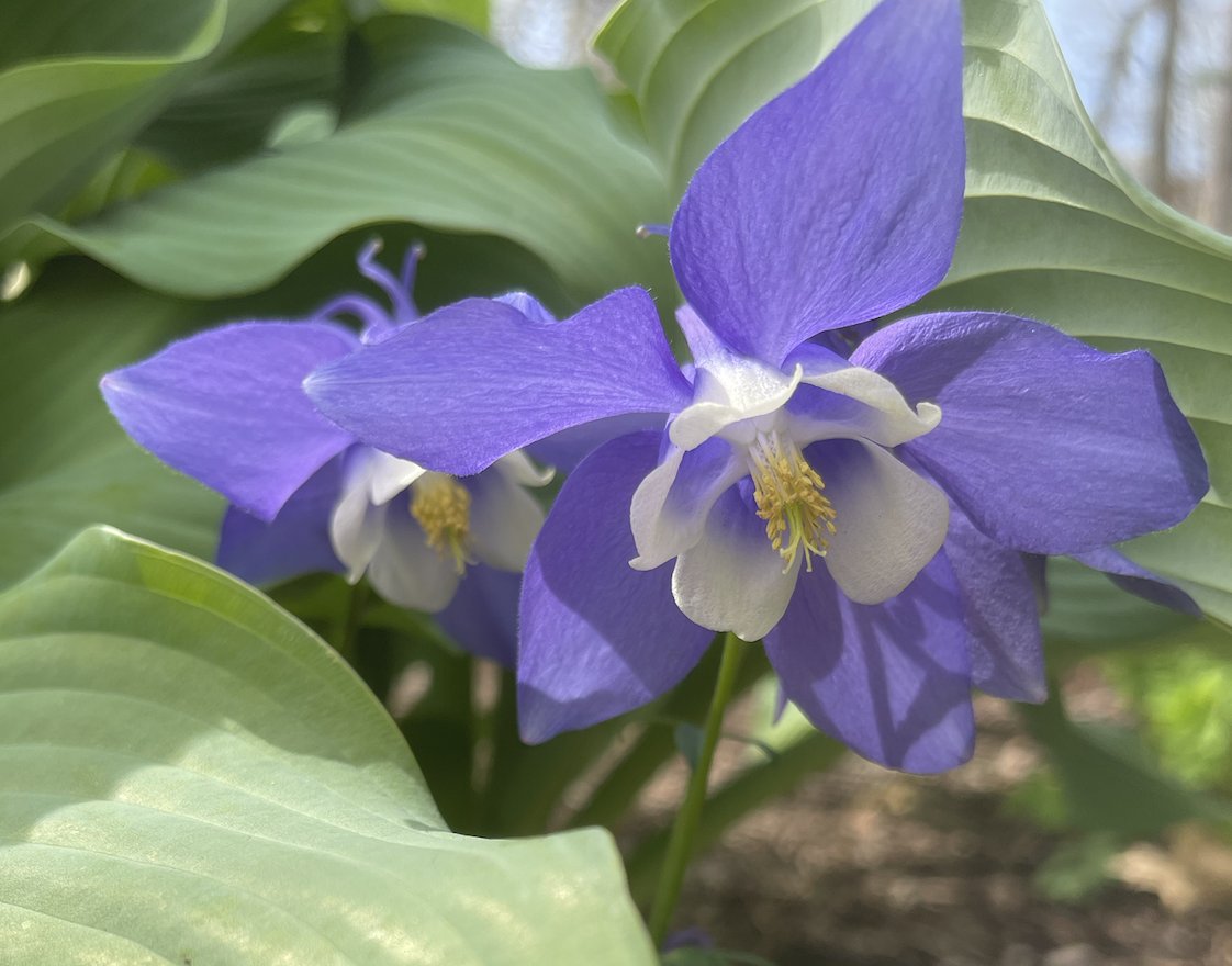 Cyndi Stivers tweet media