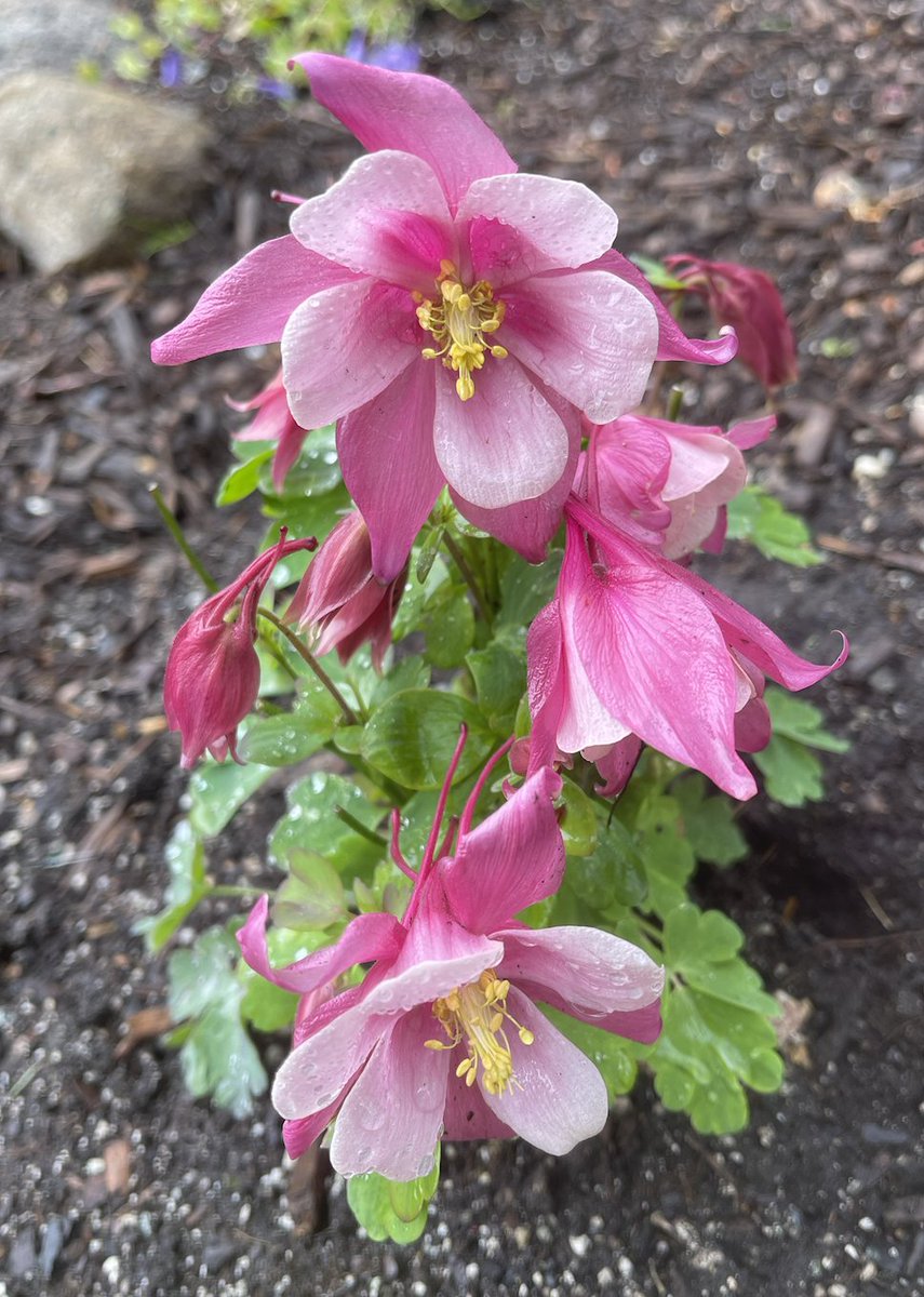 Cyndi Stivers tweet media