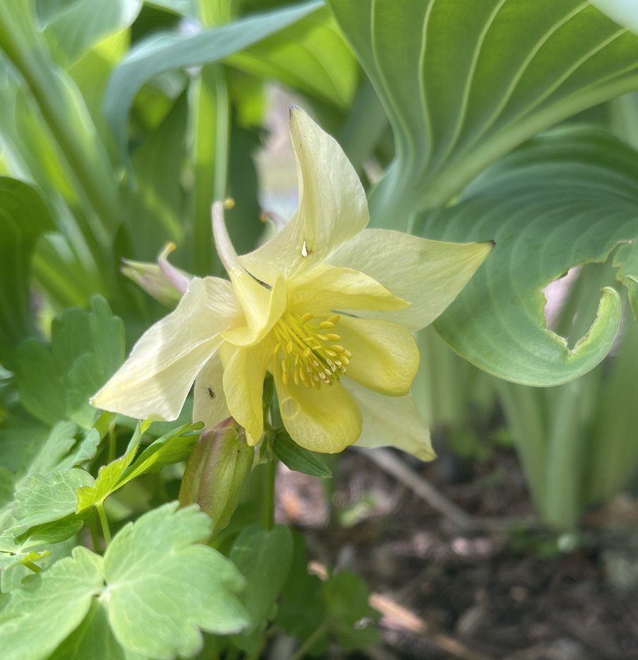 Cyndi Stivers tweet media