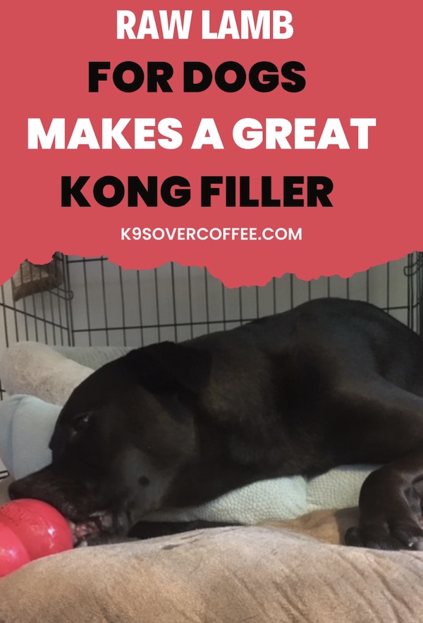 K9s Over Coffee tweet media