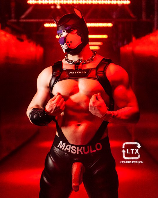 Would you be my sub ?😈 https://t.co/eGYcxWBmog<a href="/tag/darklands"class="tags"><span>#darklands</span></a>