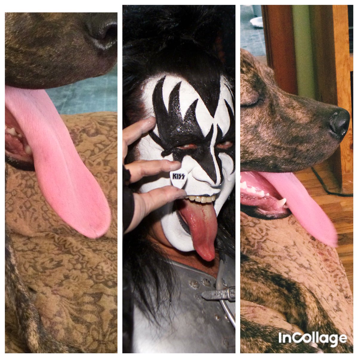 DebbieLapierre4's tweet photo. @genesimmons https://t.co/lCql1RQKGp