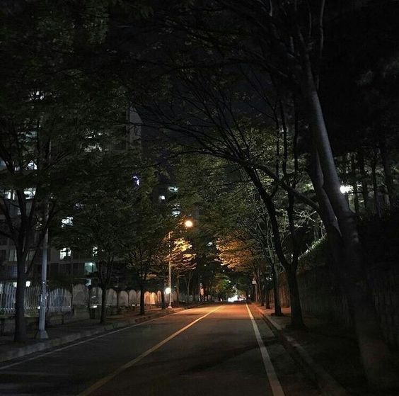 shaine_smith19's tweet photo. Street night ❤️ https://t.co/TR65N7myvM