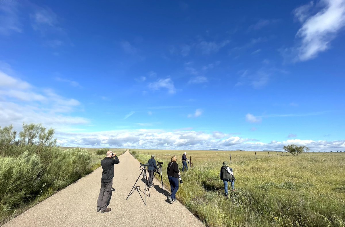AlanDaviesbirds's tweet photo. Fantastic birds &amp; scenery during our Wild Spain custom tour inc Great &amp; Little Bustards, Eagle Owl &amp; more please see new bird blogs here...
https://t.co/hApgAxhRw4
#Spain #birding #birdphotography #SundayThoughts #sundayvibes #birdtour #TwitterNatureCommunity https://t.co/I5kKSbFoIM