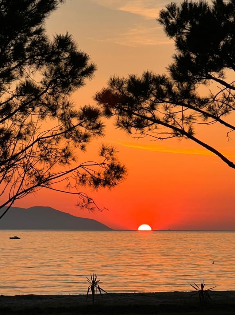 AnilaDenaj's tweet photo. 🌅 Magjia e perëndimit në Vlorë

#visitvlora
#pushoshqip https://t.co/dqLb2FyCa5