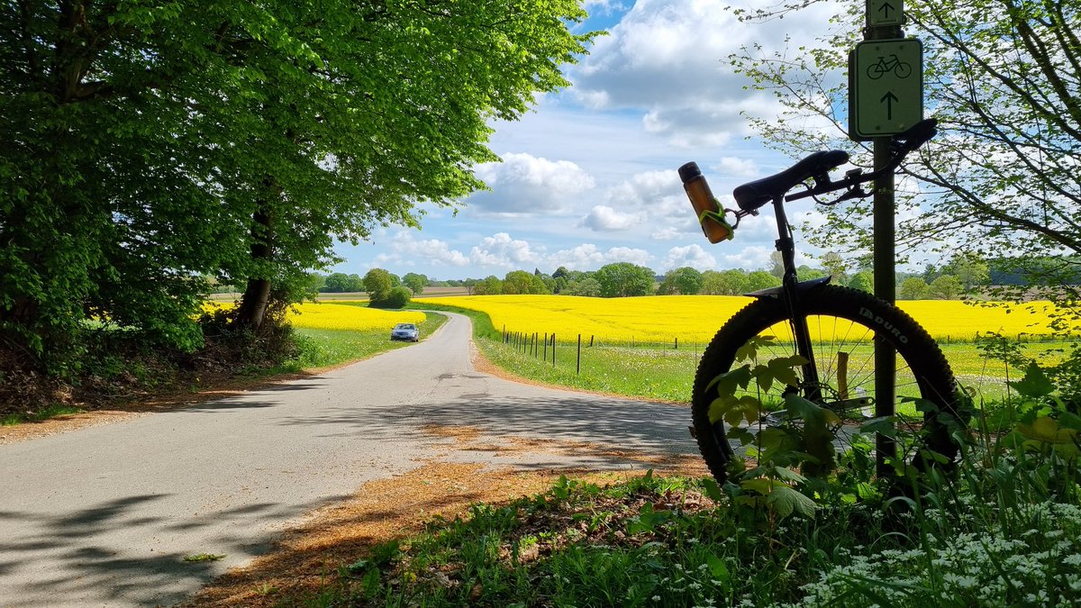 LeikKiel's tweet photo. #einrad #unicyle #einradfahren #unicycling #muni #municyclelife #municycling #municyle #onewheelisenough https://t.co/csSWJbjWwz