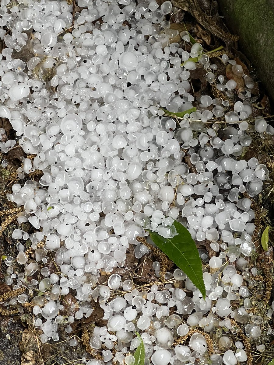 mark_aman's tweet photo. Hail in Ashford Alabama in an afternoon thunderstorm. @spann https://t.co/QHIfAuqXgL