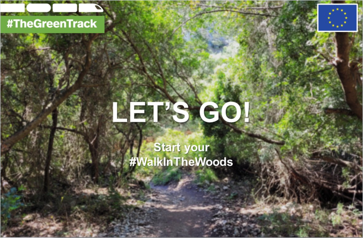 forest_walk_EU's tweet photo. The #WalkInTheWoods survey is open! Answer our questions &amp; upload your forest photo:
English: https://t.co/hxY7lsuGxk
French: https://t.co/E0cWcff6WT
Spanish: https://t.co/YcQz3NbWOV 
Italian: https://t.co/5e3ebYEqV5
German: https://t.co/l0gJfuzGfp
Polish: https://t.co/RpS7atbz9b https://t.co/y9IKluFN0p