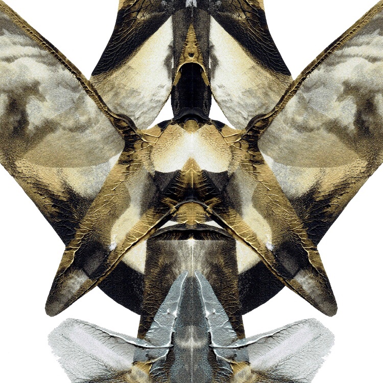 nft0tem's tweet image. 