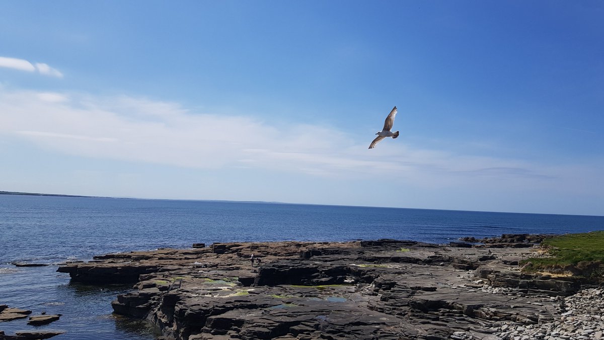kenzy88's tweet photo. The wessssht of Ireland🏞🌊☀️ #nature https://t.co/mPy702deOQ