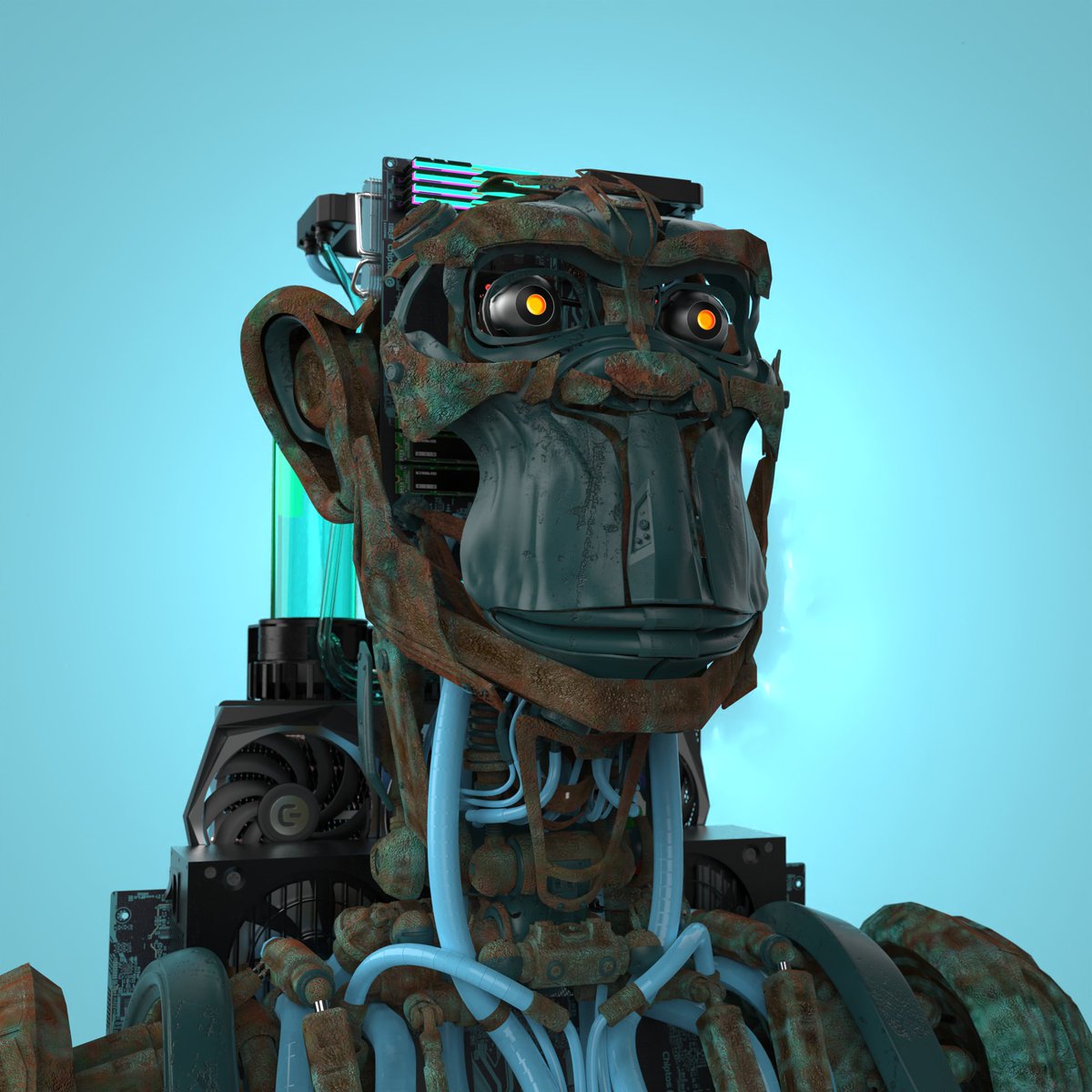 timmay_castags tweet media