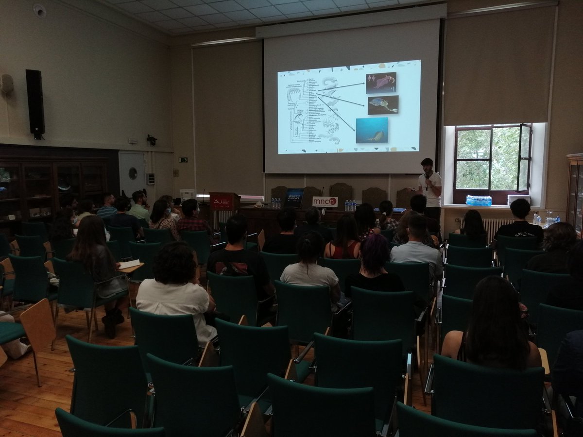 iberozoa's tweet photo. Empezamos con Javier Mugueta, los primeros mares de la historia y las criaturas que lo habitaban, antepasados de los linajes y #ecosistemas actuales. Los #fosiles marinos ibéricos también suponen un patrimonio esencial, como es el caso del #equinodermo Gyrocistis 🐙💀
@IGME1849 https://t.co/A0h6nzo8hq